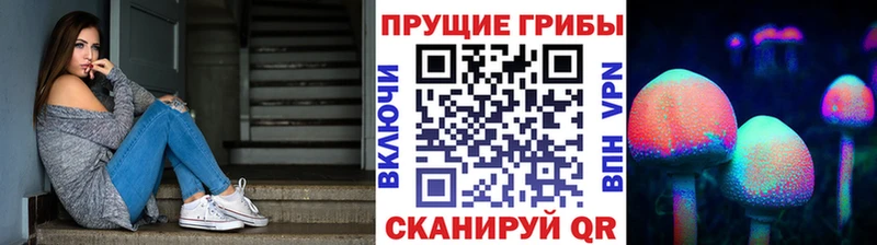 Псилоцибиновые грибы Psilocybe Уяр